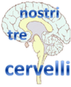 Nostri tre Cervelli